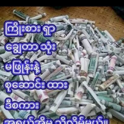 yelinko229836's profile picture. 