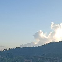 yel_ches's profile picture. #shibaNFT #utilities #XRP #XRPLcommunity #ShibaNFT-PHcommunity check our official page @ https://t.co/jfkQlANxLJ