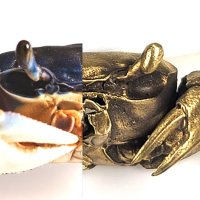 licoyas (リコヤス) (@licoyas) 's Twitter Profile Photo