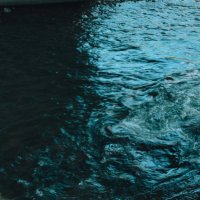 はるねい (@__harunei__) 's Twitter Profile