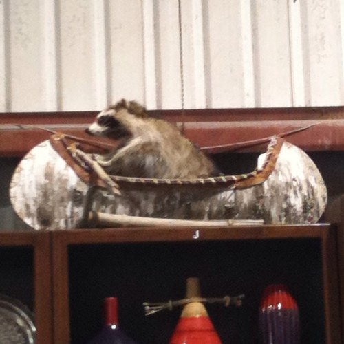 tater1895's profile picture. 