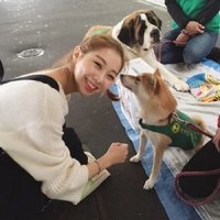 ひなの (@v1bl6jby2a10414) 's Twitter Profile