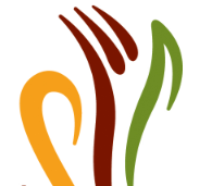 fcatoday's profile picture. The official executive organization of the Fast Casual Alliance, food lovers, restaurant gurus and passion for fast casual