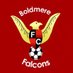 Boldmere Falcons AFA (@BoldmereAFA) Twitter profile photo