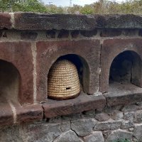 The Bee Boles Register (@bee_boles) 's Twitter Profile Photo The Bee Boles Register (@bee_boles) 's Twitter Profile Photo