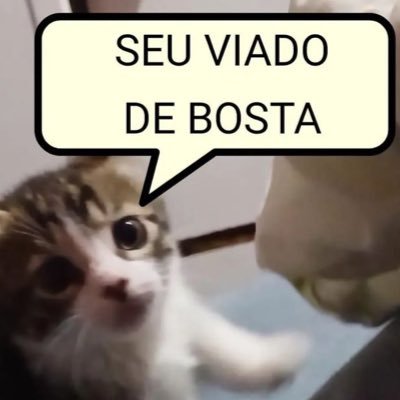 llua_samy's profile picture. bem vindo(a) (ou não) à minha cabeça.