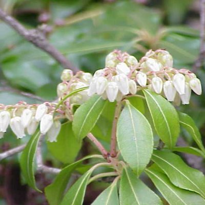 Abso1uteZ3RO's profile picture. 20+ y/o / #VALORANT / 摂氏 −273.15 °C / 華氏 459.67 °F