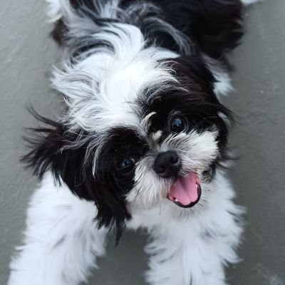 gloryveeee's profile picture. 🪷