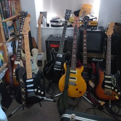 Retired Consultant Anaesthetist, now a woodland dog Walker, lover of food and wine. Guitars are my pride and joy. Hoping for a saner, more honest UK.