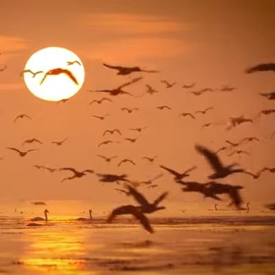 @paco6556