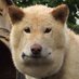 ã®ããã (@yakinikuking315) Twitter profile photo ã®ããã (@yakinikuking315) Twitter profile photo