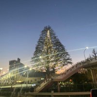 MonSc91933's profile picture. 仮想通貨勉強中！ #NMC