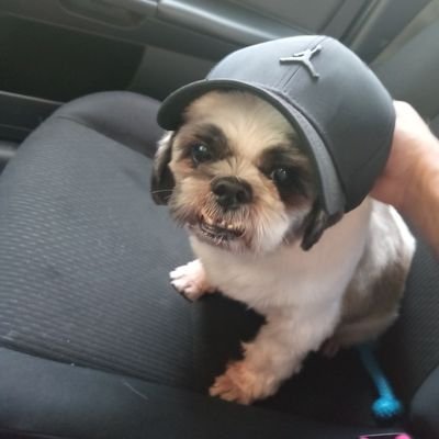 mon_somo's profile picture. $WOO $ARB $WINR 

Crypto Future Trader, airdrop hunter.

@playsomo | $SOMO