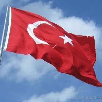 Mathman1033599's profile picture. 