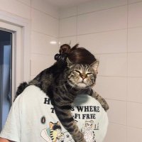 göksu (@neboovo) Twitter profile photo