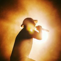 SeineZooRecordz (@seinezoorecordz) 's Twitter Profile Photo SeineZooRecordz (@seinezoorecordz) 's Twitter Profile Photo