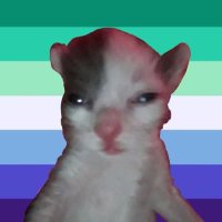 lucas !! (@lucasbichinha) 's Twitter Profile
