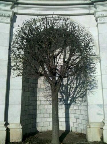 Obscurios's profile picture. greed kills - views are my own...and correct