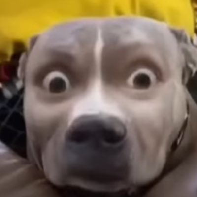 hbuTRJK3aKvNPmc's profile picture. 