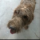 Randy Yarbrough - @yarby59 - Twitter