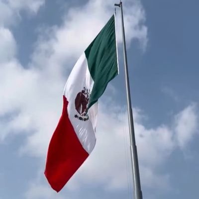 Palomasjr's profile picture. Mexicana 🇲🇽 Mamá, esposa💕 hija , católica, Profesionista ⚖️ defensora de las instituciones, contrapesos, voto libre y la democracia.