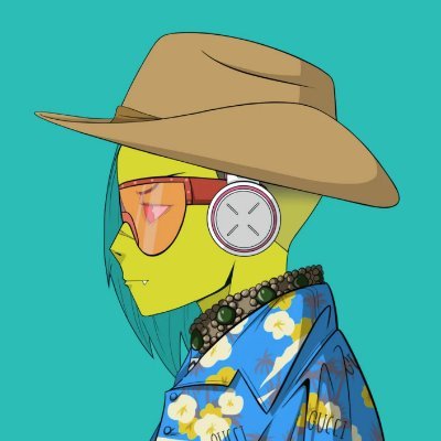 Vava Profile