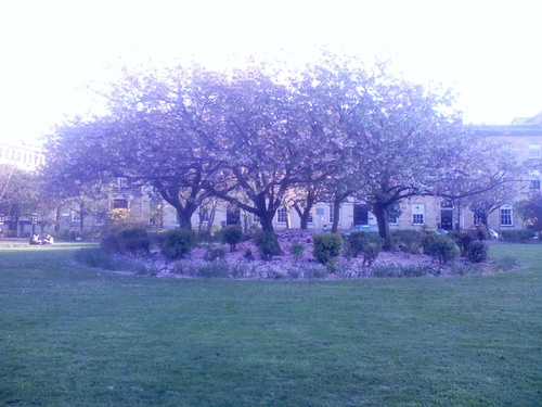 sheensharing's profile picture. SFC funded project to support Scotland's employability co-ordinators and others interested in employability with sharing via Web2.0