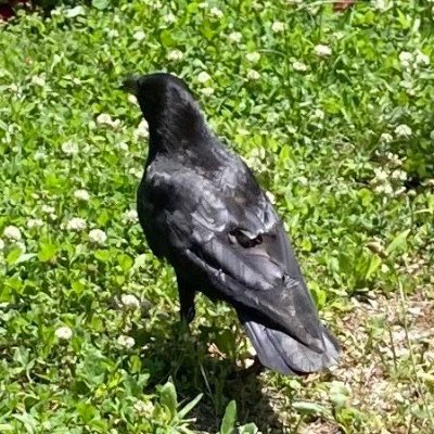 Amikassbergさんのプロフィール画像