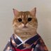 Cat Own Kimono (@catownkimono) Twitter profile photo