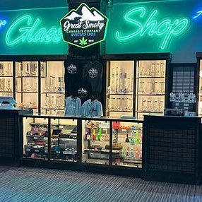 Premium Medical & Recreational Flowers

@ToriMoore