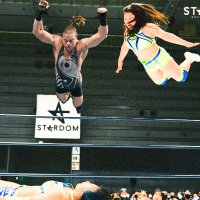 Humble ledger FIGHT KOGUMA FIGHT (@ledgerhumble) 's Twitter Profile