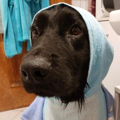 Fxrras's profile picture. M/20