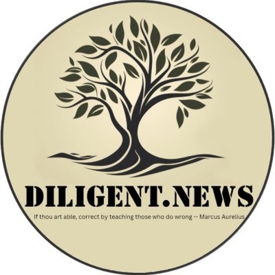 DiligentNews's profile picture. Diligent news provides history, analysis and assessments of global geopolitical issues & conflicts as well as US domestic Politics.