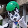 SkeppoBalloon's profile picture. 🇩🇪 | ♂️ | 34 | ❤️🐺 @TakenyaChaos emotional support 🎈Husky | ☕ and 🍰 Lover | 💾 Stuck in the 80's 🎧 | Photography 📷 | 🐊King K. Rool | 👔 @SchneeCreations