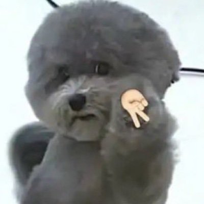 Bariさんのプロフィール画像