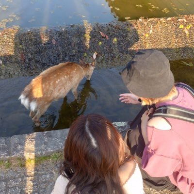 n_shellingford's profile picture. 痩せる