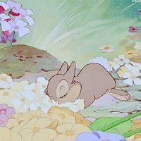✿ᶜⁱᵃ'ˢ ᵖᵃᵍᵉ✿ (@nencentricarea) 's Twitter Profile