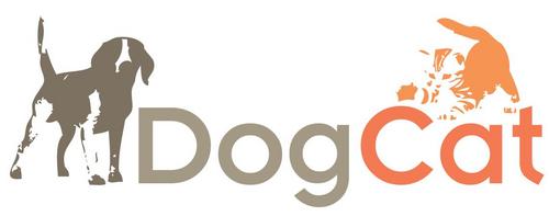 En DOGCAT creemos que:
La mejor calidad no debe traducirse en un alto costo
Debemos alimentar a nuestras mascotas con nutrientes y no con marketing