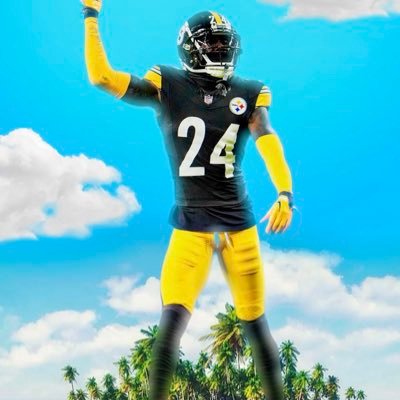 Steelers Cavs Pirates Penn State