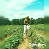 brabovclaire's profile picture. :)
ut