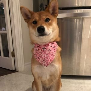 luvemilu's profile picture. I love u jake