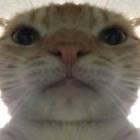 pijeyy (@jiyprett) 's Twitter Profile