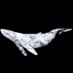 DiamondWhale | CryptoTrader📊NFT Collector 💎🙌🏻 (@diamondwhale168) Twitter profile photo DiamondWhale | CryptoTrader📊NFT Collector 💎🙌🏻 (@diamondwhale168) Twitter profile photo