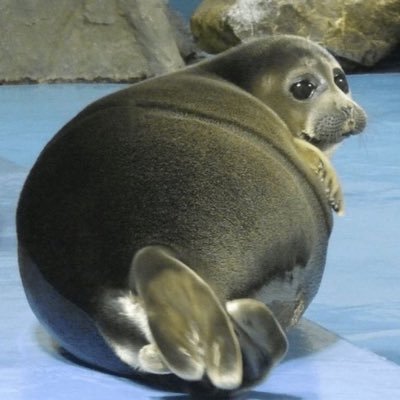 RedzJP1's profile picture. ⓘ User is suspected to wear fake Nike Air Foamposites. Please report any fake ass shoes to X staff.