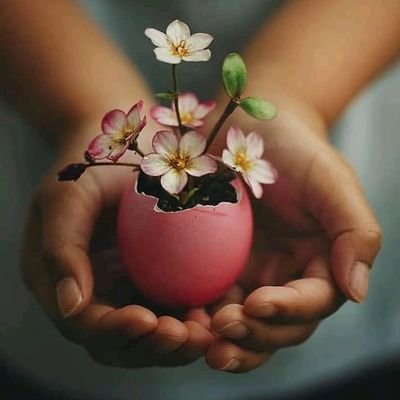 لأ تختر شخصاً جميلاً،بل اختر من يجعل حياتك جميلة