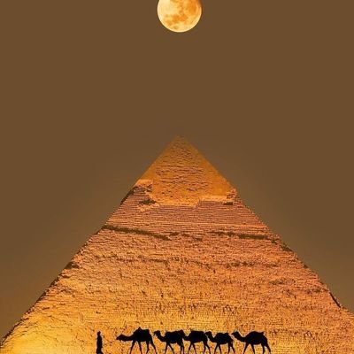 UnHernanMas's profile picture. What the dead men say
It's just between us
What the dead men say
You can't let go
Trivium!