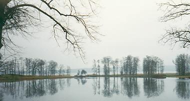 hinterglas's profile picture. 