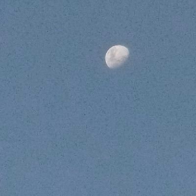 barto1213161221's profile picture. 