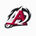 Arkansas Travelers (@ARTravs) Twitter profile photo