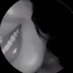Dalal (@dalalradhy) Twitter profile photo Dalal (@dalalradhy) Twitter profile photo